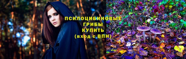 jwh Аркадак