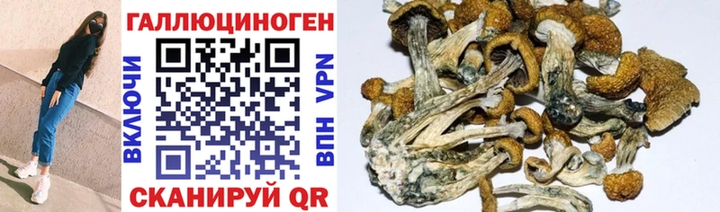 Псилоцибиновые грибы Magic Shrooms  Раменское 